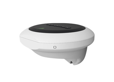 Raymarine Sensore EV-1