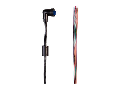 Garmin Cavo I/O 19 pin